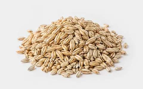 Barley Grain, illustrative unbranded product