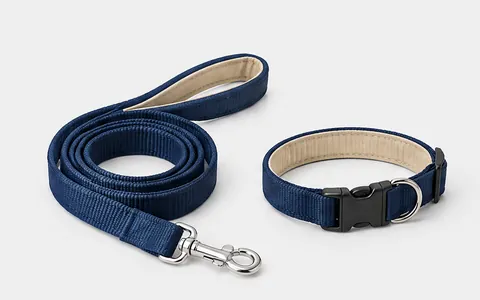 Pet Walking Leads, illustrative unbranded product