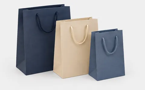 Plain Gift Bags, illustrative unbranded product