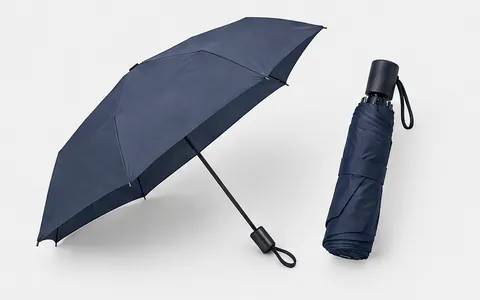 Plain Umbrellas, illustrative unbranded product