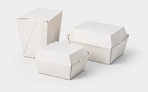 Takeaway Carton Formats, illustrative unbranded product